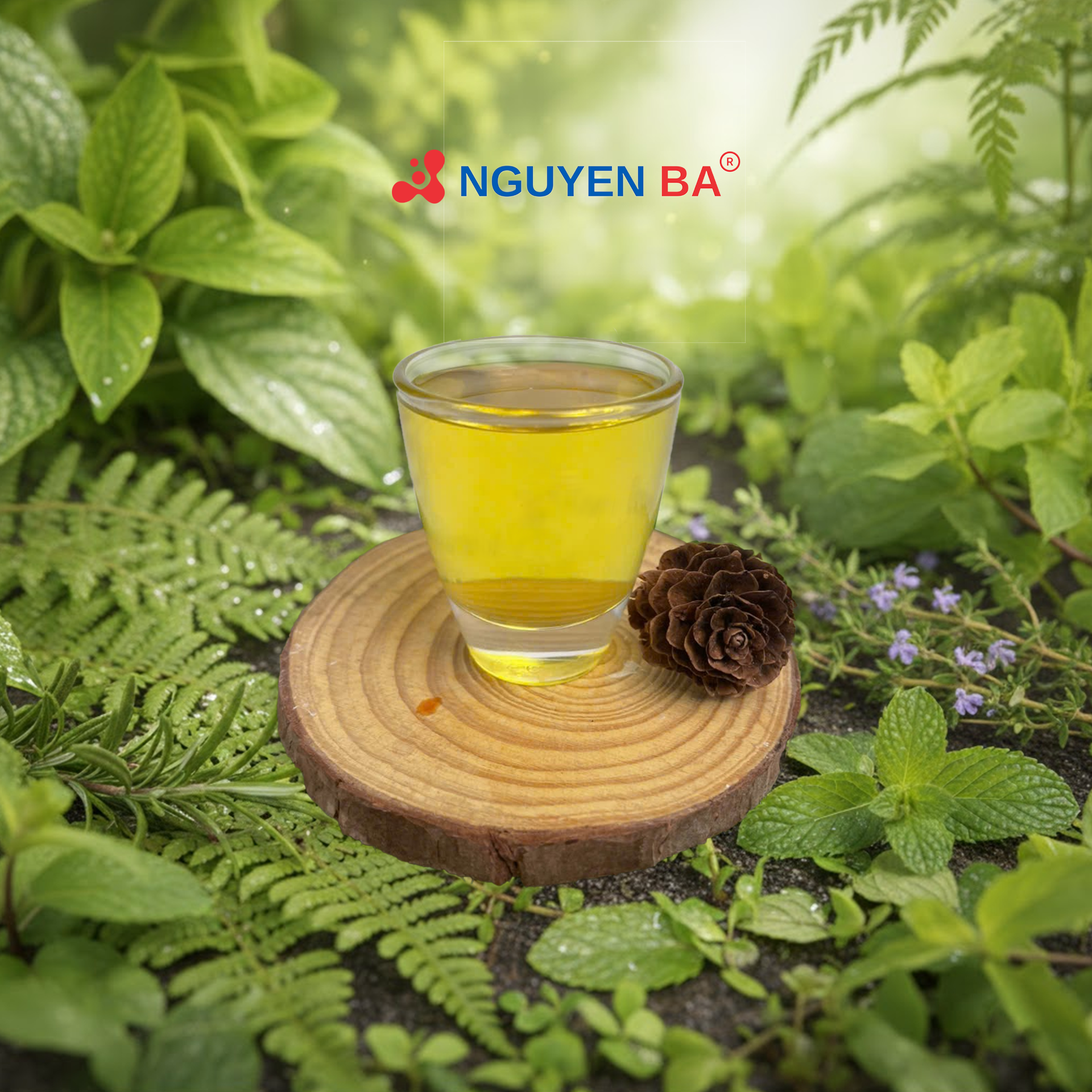 OilTrac MORINGA S LO - DẦU CHÙM NGÂY